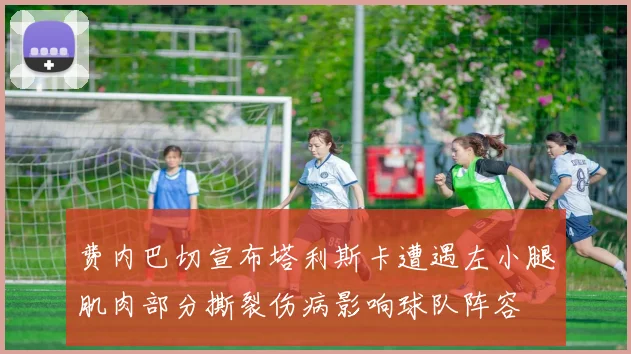 费内巴切宣布塔利斯卡遭遇左小腿肌肉部分撕裂伤病影响球队阵容