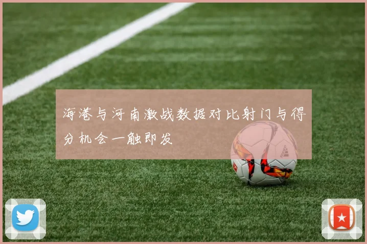 海港与河南激战数据对比射门与得分机会一触即发