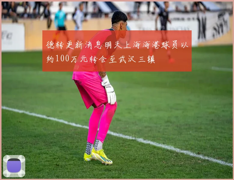 德转更新消息明天上海海港球员以约100万元转会至武汉三镇